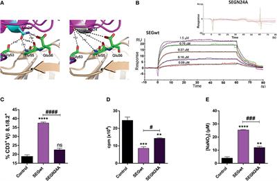 Heterologous Chimeric Construct Comprising a Modified Bacterial Superantigen and a Cruzipain Domain Confers Protection Against Trypanosoma cruzi Infection